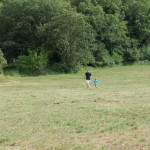 Going to shot a hare for dinner