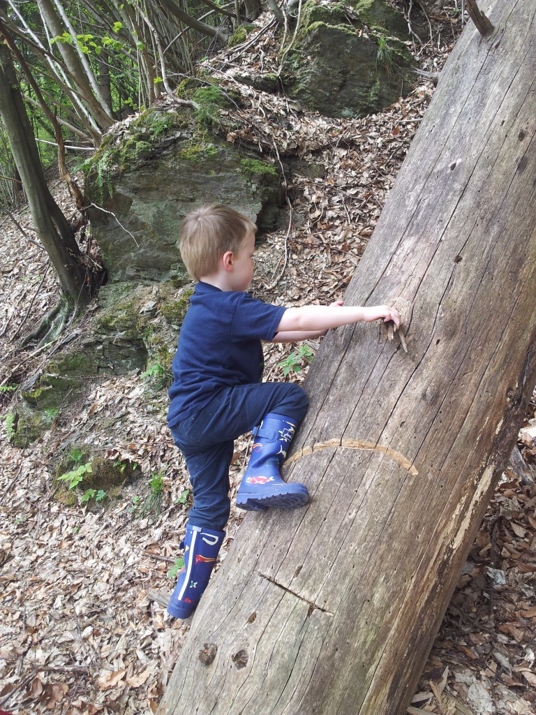 Climbing in the woods