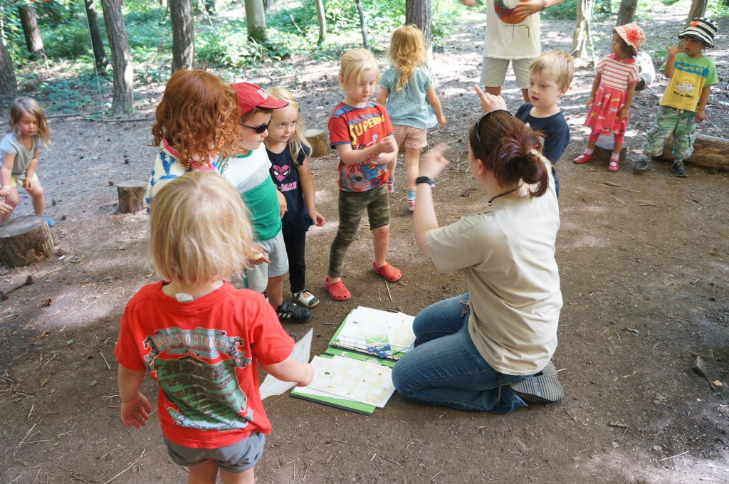 on how to kill a deer