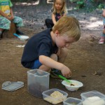 Preparing an open fire