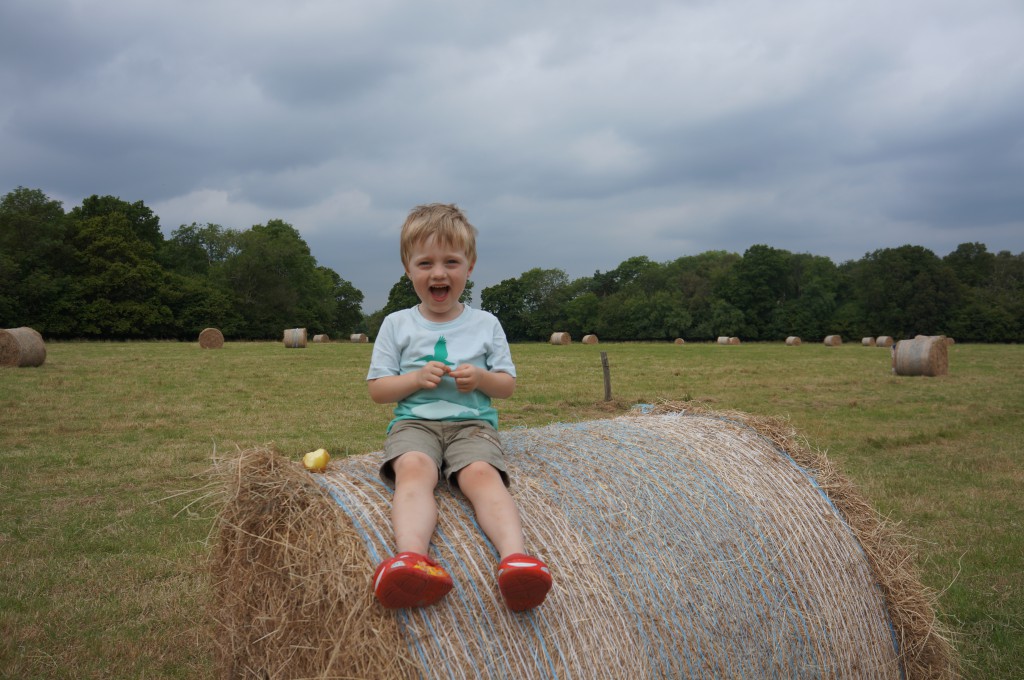 Who stacked the hay so nicely