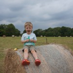 Who stacked the hay so nicely