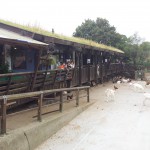 Surrey Dock Farm with Luca