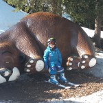 The bear is sleeping The bear is sleeping