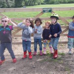 Where are the goats Where are the goats