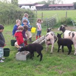 Hungry beasts Hungry beasts