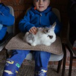 A real lapin A real lapin