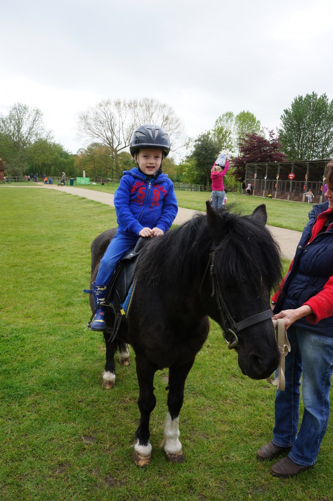 Where can I sign up for polo