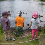 Alle meine Entlein Alle meine Entlein